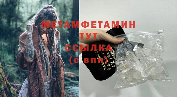 прущие грибы Валуйки