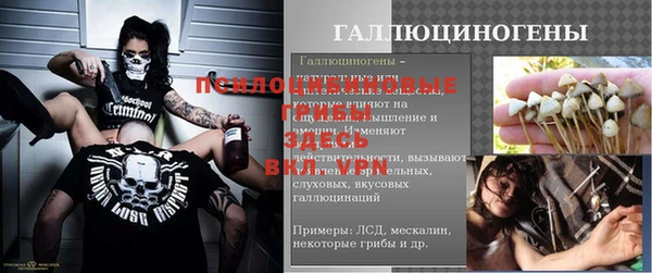 стафф Медногорск