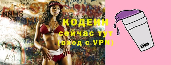 стаф Мегион