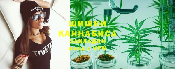 стафф Медногорск
