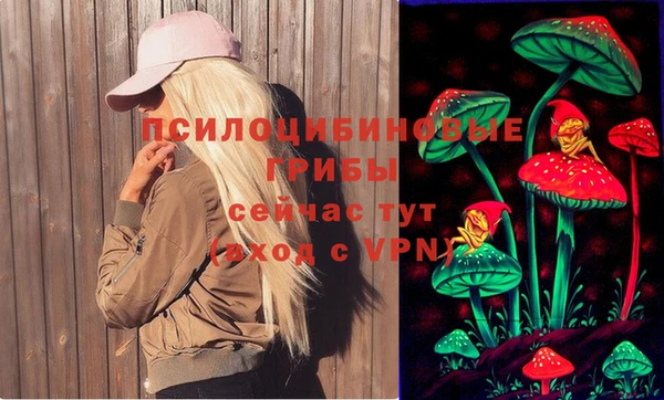 стафф Медногорск