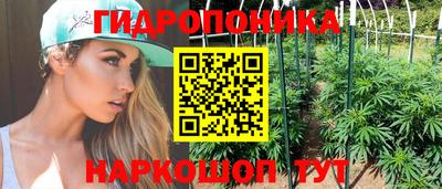 2c-b Канаш