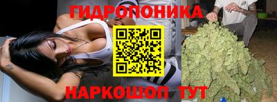 мет Камышлов