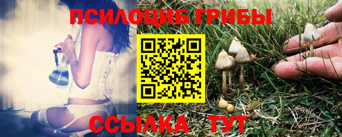 Надым  Галлюциногенные грибы Psilocybe  дарнет шоп  Вход с VPN 