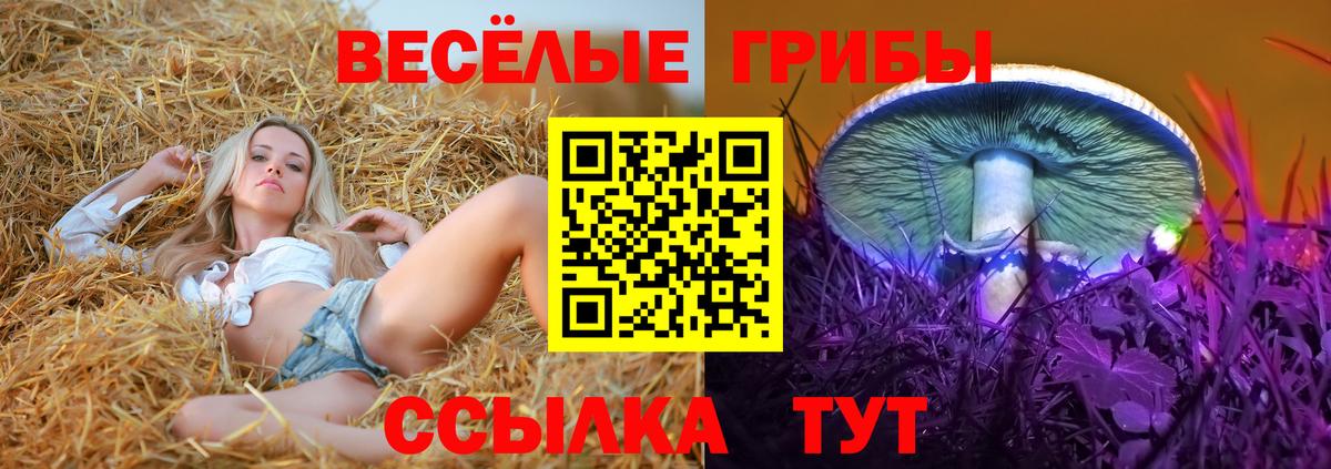 Галлюциногенные грибы Magic Shrooms Надым