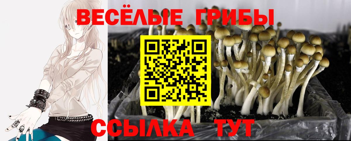 Галлюциногенные грибы прущие грибы Надым